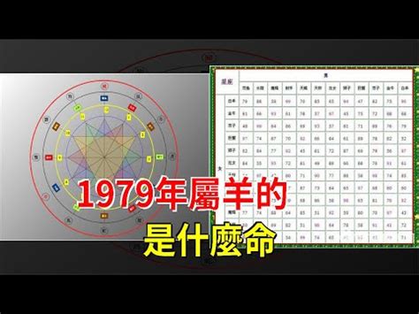 1979年五行屬什麼|【1979年五行屬什麼】1979年五行屬什麼？屬羊的人快來查！